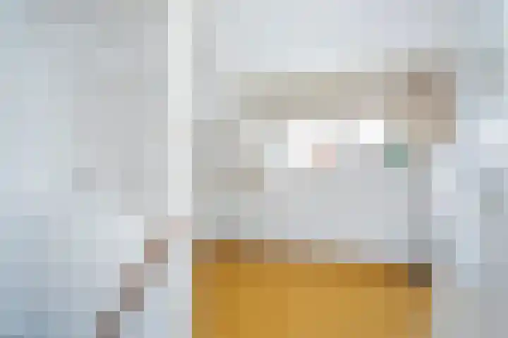 Leeuweriklaan 9 Rotterdam thumbnail 17