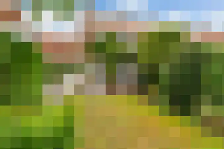 Leeuweriklaan 9 Rotterdam thumbnail 22