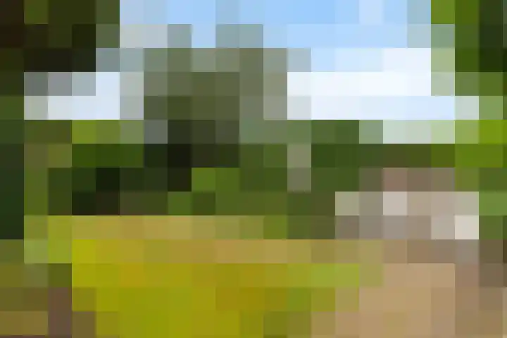 Leeuweriklaan 9 Rotterdam thumbnail 23