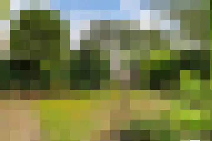 Leeuweriklaan 9 Rotterdam thumbnail 24