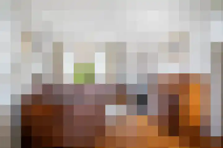 Leeuweriklaan 9 Rotterdam thumbnail 6