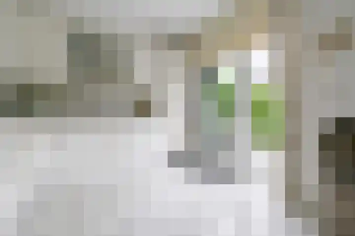 Leeuwerikspad 22 Ter Aar thumbnail 11