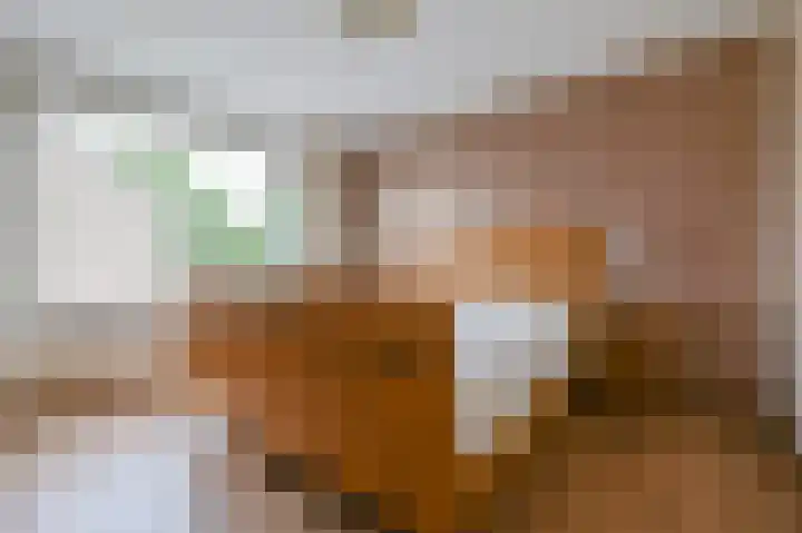 Leeuwerikspad 22 Ter Aar thumbnail 15