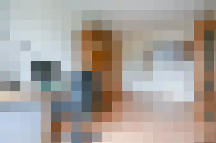 Leeuwerikspad 22 Ter Aar thumbnail 25