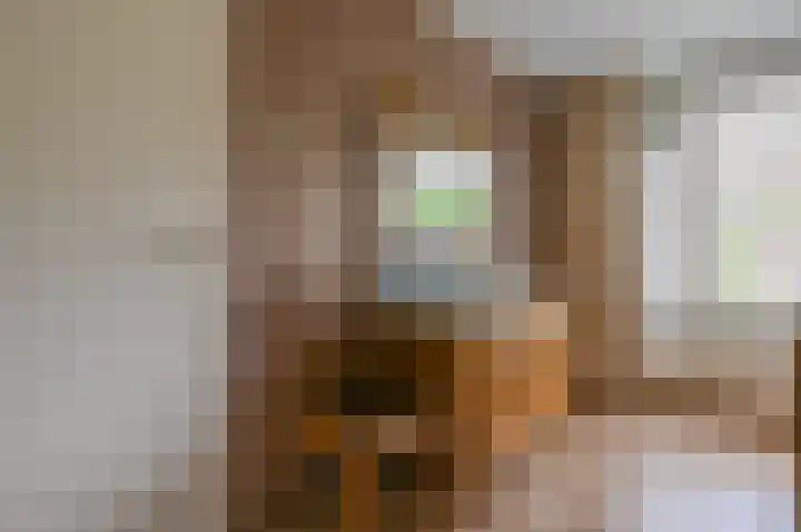 Leeuwerikspad 22 Ter Aar thumbnail 26