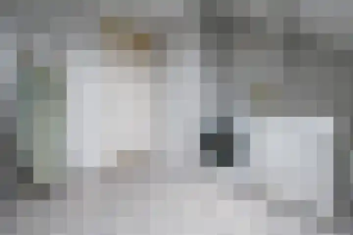 Leeuwerikspad 22 Ter Aar thumbnail 33