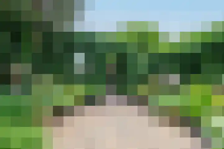 Leeuwerikspad 22 Ter Aar thumbnail 46