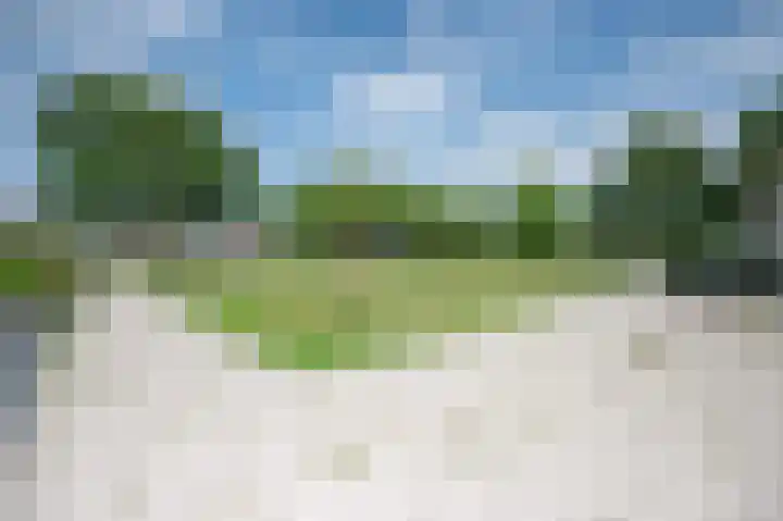 Leeuwerikspad 22 Ter Aar thumbnail 48