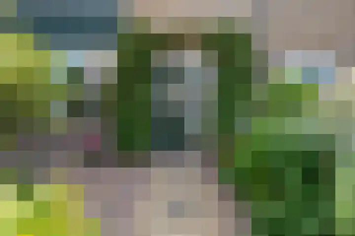 Leeuwerikspad 22 Ter Aar thumbnail 50