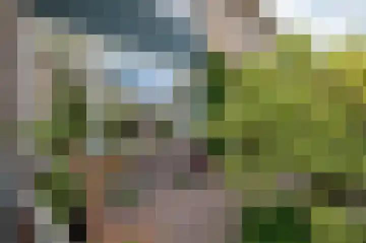 Leeuwerikspad 22 Ter Aar thumbnail 53