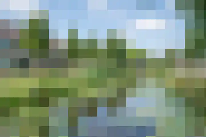 Leeuwerikspad 22 Ter Aar thumbnail 55