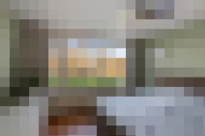 Leeuwerikspad 34 Ter Aar thumbnail 10
