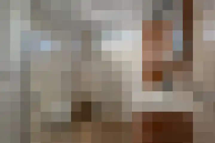 Leeuwerikspad 34 Ter Aar thumbnail 14
