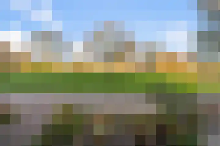 Leeuwerikspad 34 Ter Aar thumbnail 24