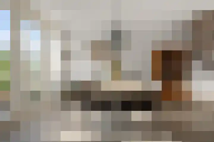 Leeuwerikspad 34 Ter Aar thumbnail 8