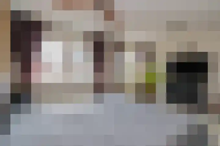 Leeuwerikstraat 28 Hilversum thumbnail 10