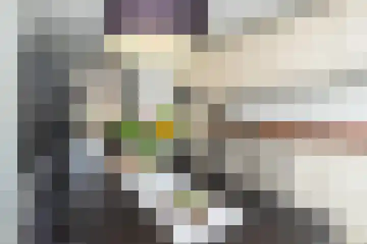 Leeuwerikstraat 28 Hilversum thumbnail 7