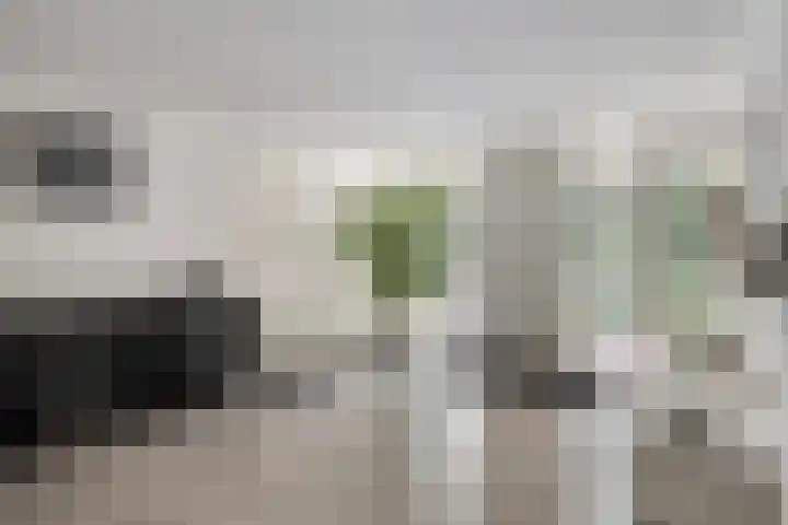 Leeuwerikstraat 28 Vries thumbnail 12