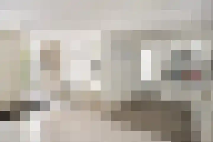 Leeuwerikstraat 28 Vries thumbnail 13