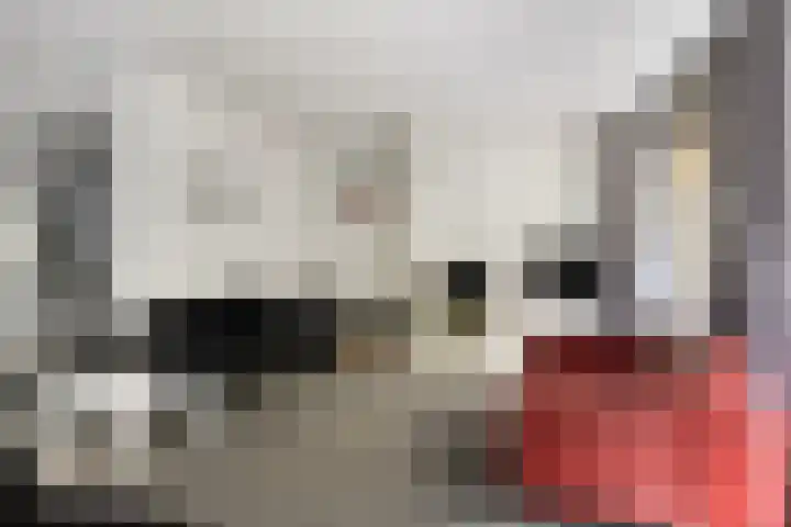 Leeuwerikstraat 28 Vries thumbnail 16