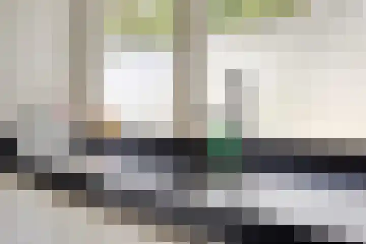 Leeuwerikstraat 28 Vries thumbnail 27