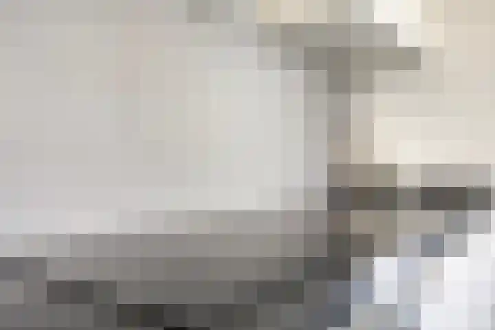 Leeuwerikstraat 28 Vries thumbnail 28
