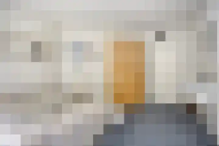 Leeuwerikstraat 28 Vries thumbnail 33