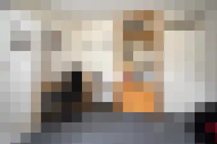 Leeuwerikstraat 28 Vries thumbnail 38