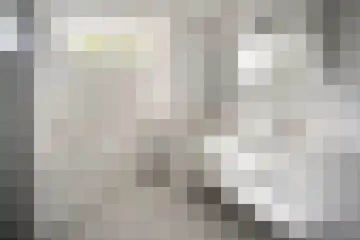 Leeuwerikstraat 28 Vries thumbnail 4
