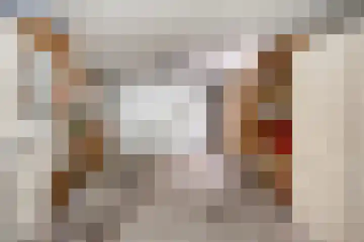 Leeuwerikstraat 28 Vries thumbnail 43