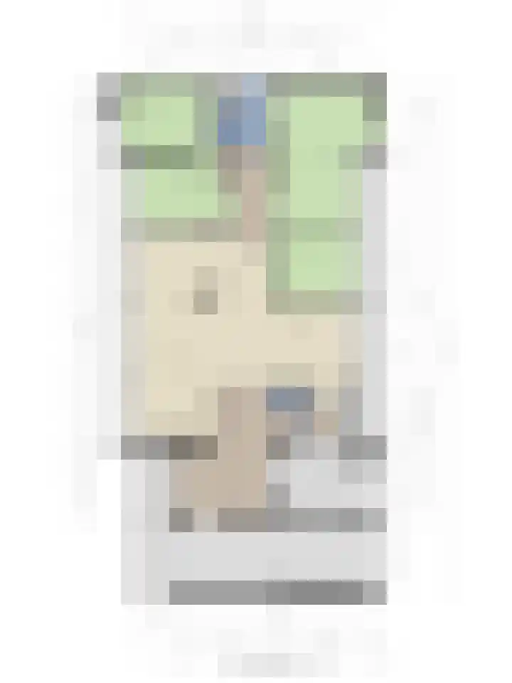 Leeuwerikstraat 28 Vries thumbnail 56