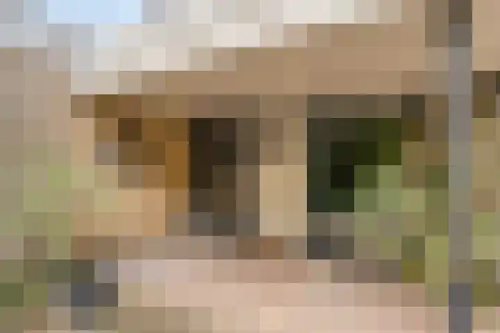Leeuwerikstraat 28 Vries thumbnail 8
