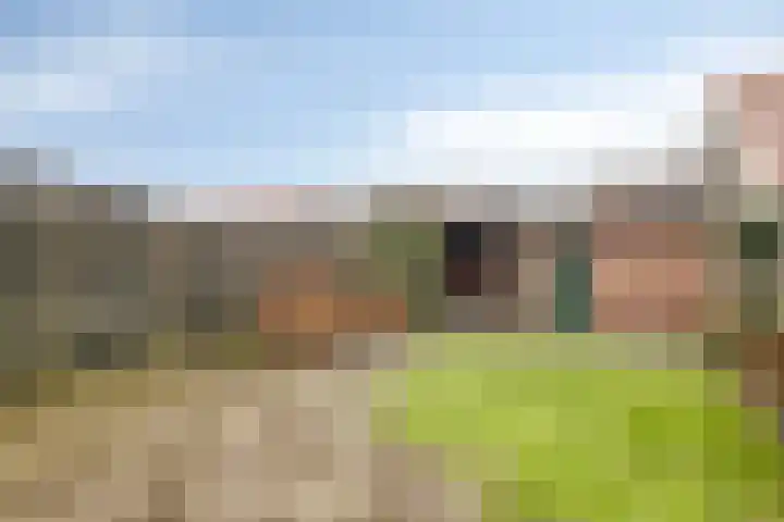 Leeuwerikstraat 29 Goor thumbnail 24