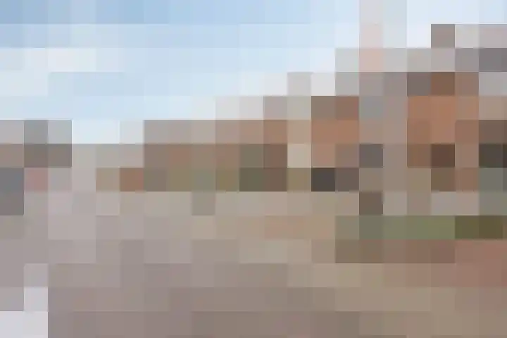 Leeuwerikstraat 29 Goor thumbnail 29