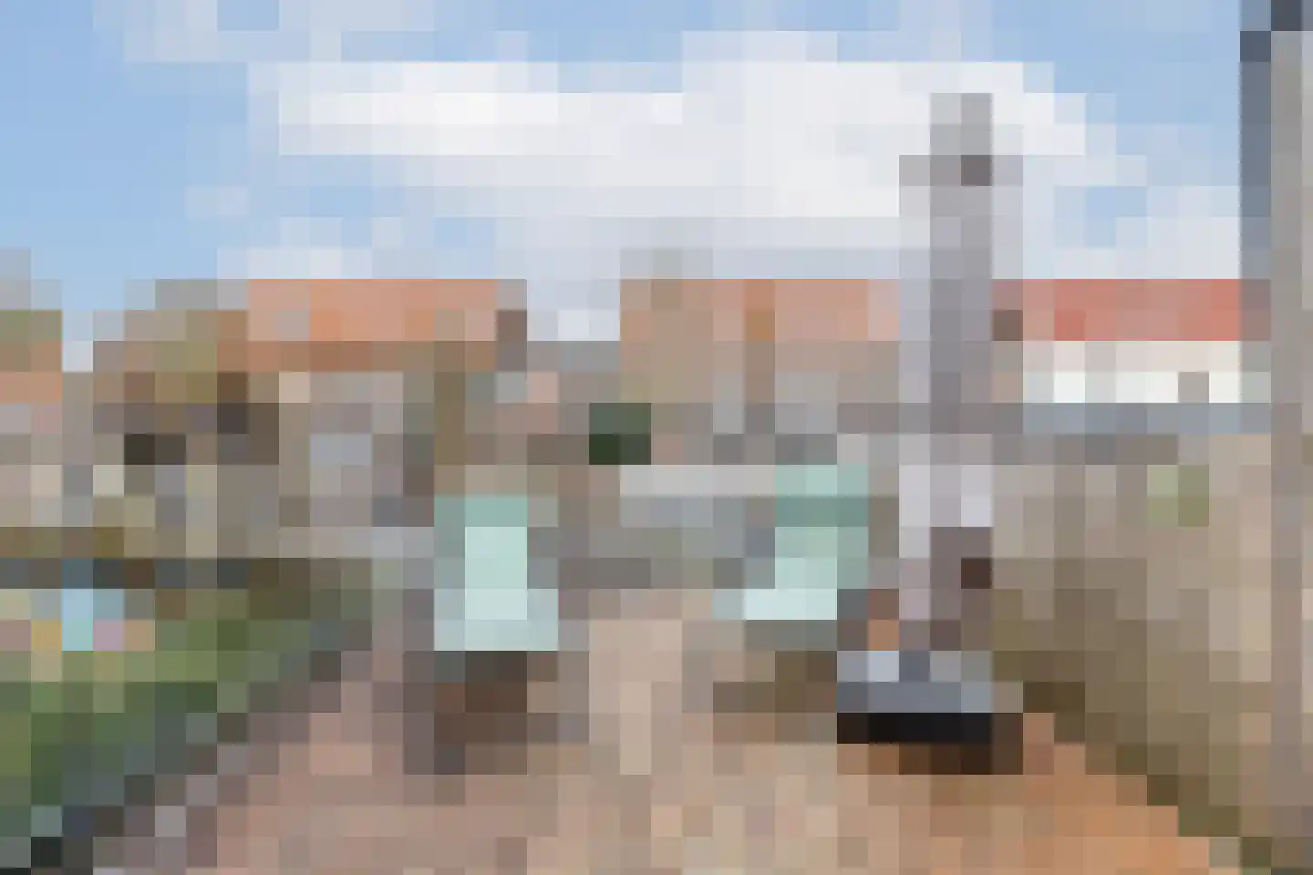 Leeuwerikstraat 36 Breda thumbnail 20