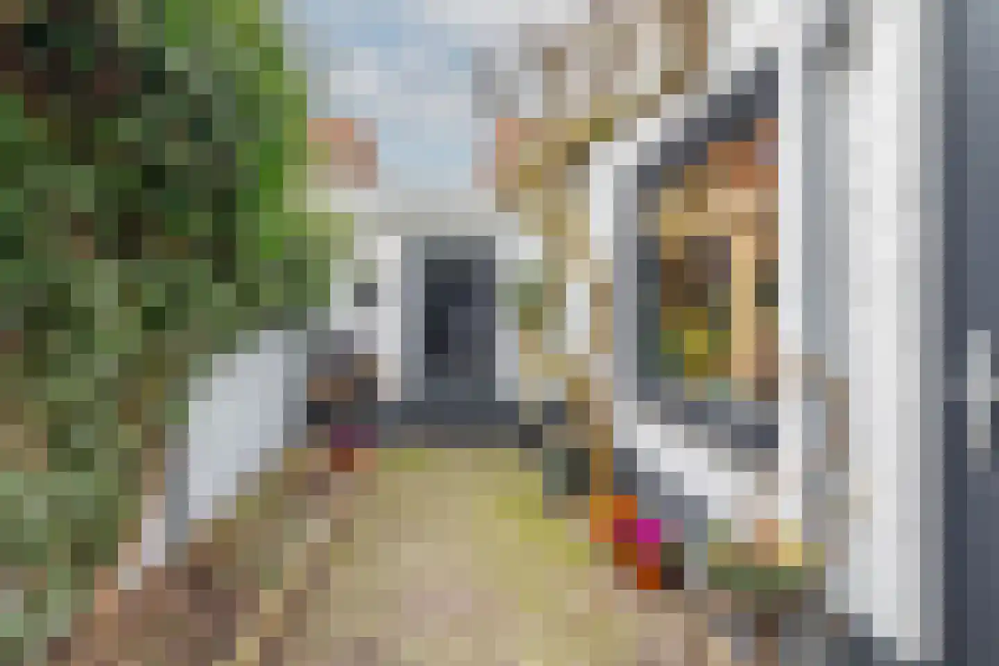 Leeuwerikstraat 36 Breda thumbnail 21