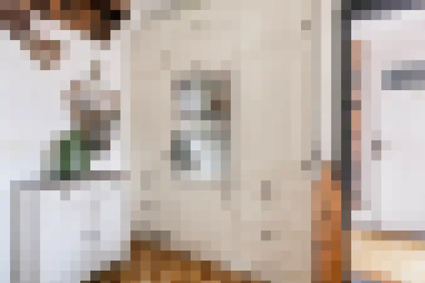Leeuwerikstraat 36 Venlo thumbnail 10
