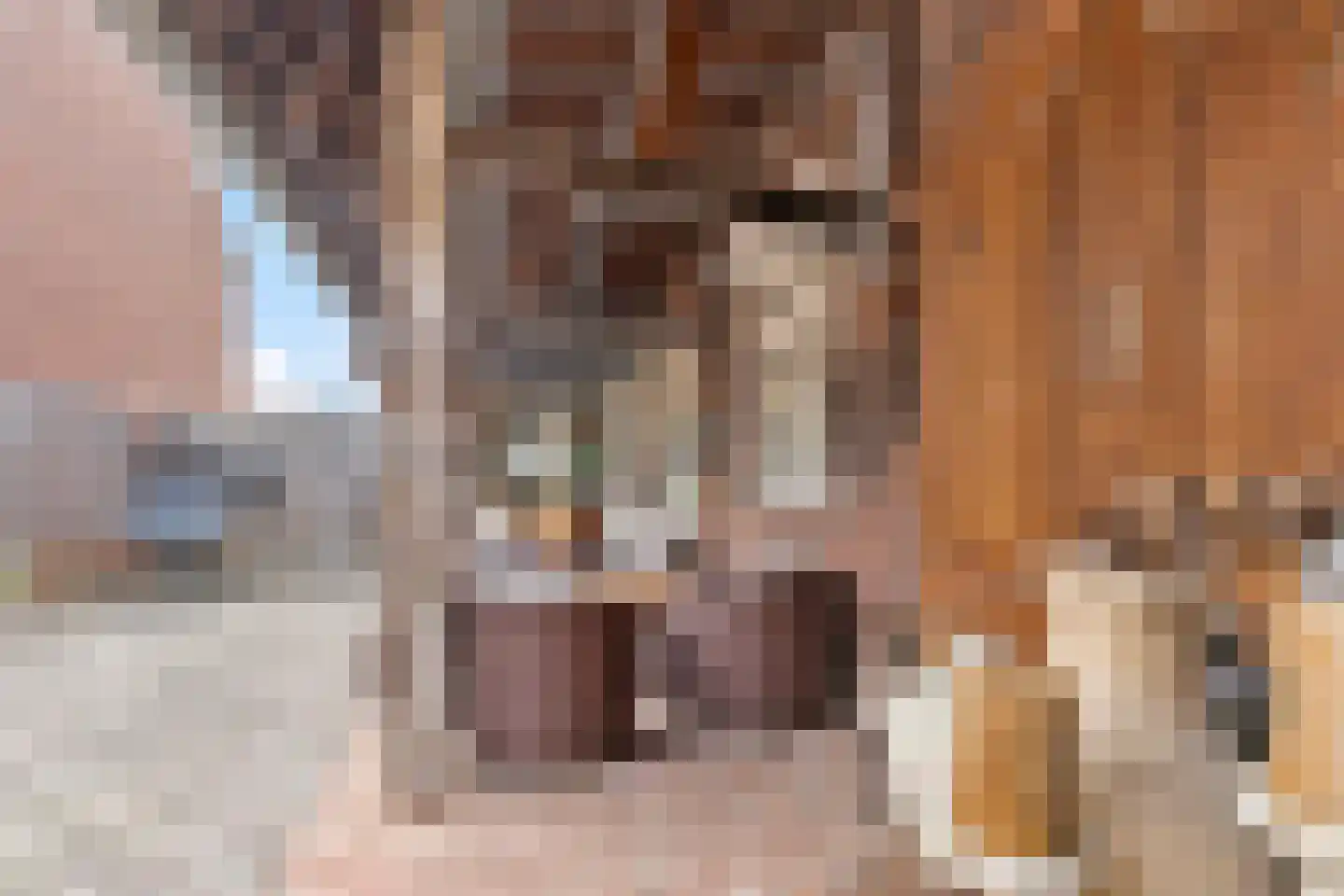 Leeuwerikstraat 36 Venlo thumbnail 23