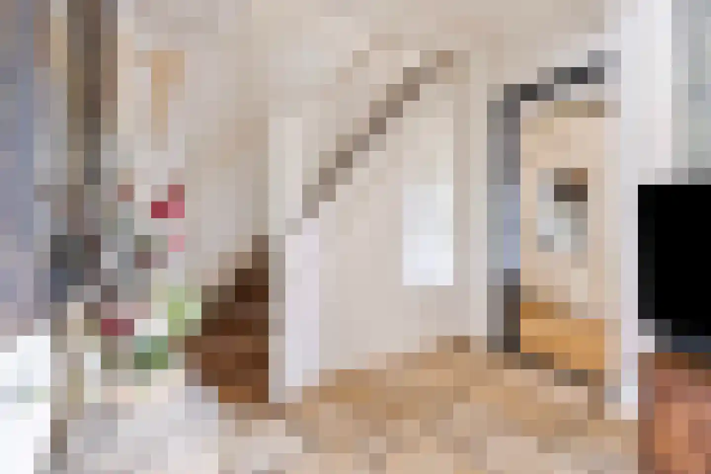 Leeuwerikstraat 36 Venlo thumbnail 8