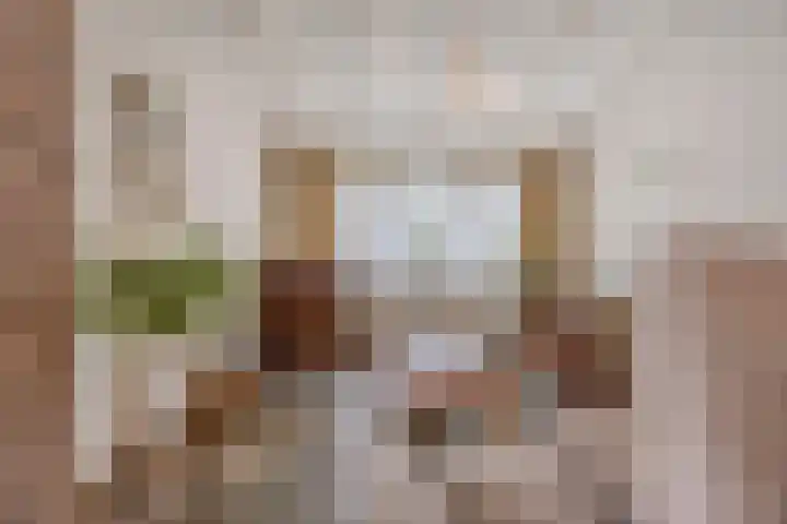 Leeuwerikstraat 38 Mill thumbnail 10