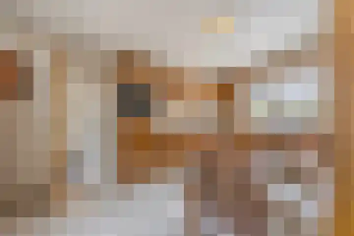 Leeuwerikstraat 38 Mill thumbnail 11