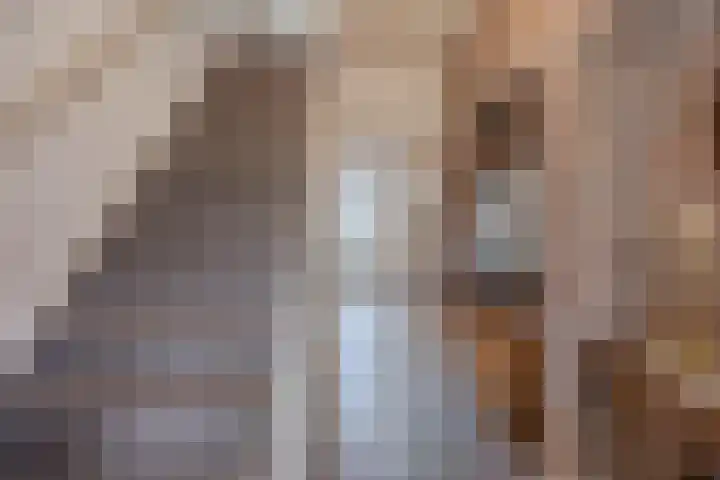 Leeuwerikstraat 38 Mill thumbnail 15