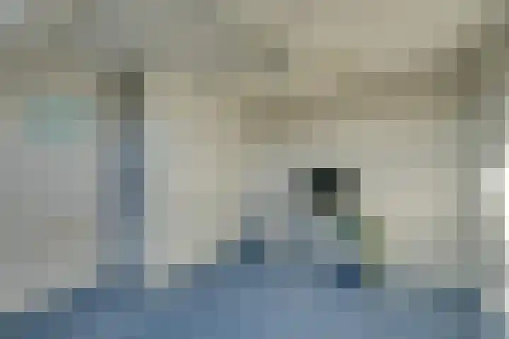 Leeuwerikstraat 38 Mill thumbnail 19
