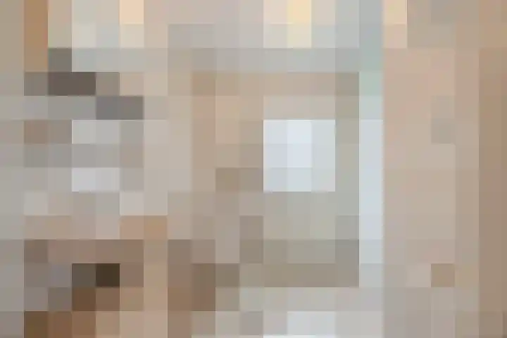 Leeuwerikstraat 38 Mill thumbnail 20