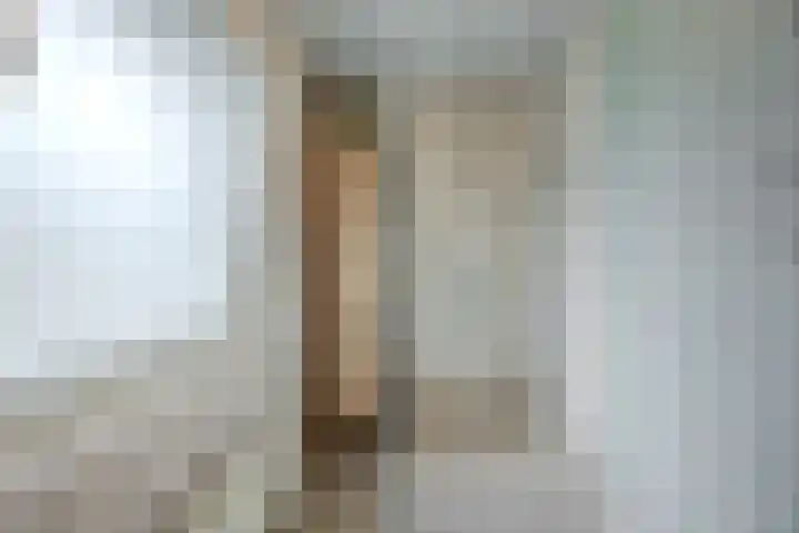 Leeuwerikstraat 38 Mill thumbnail 21
