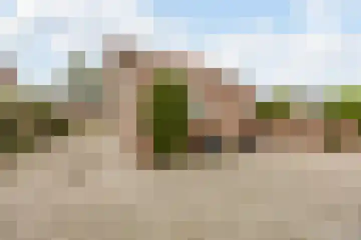 Leeuwerikstraat 38 Mill thumbnail 26