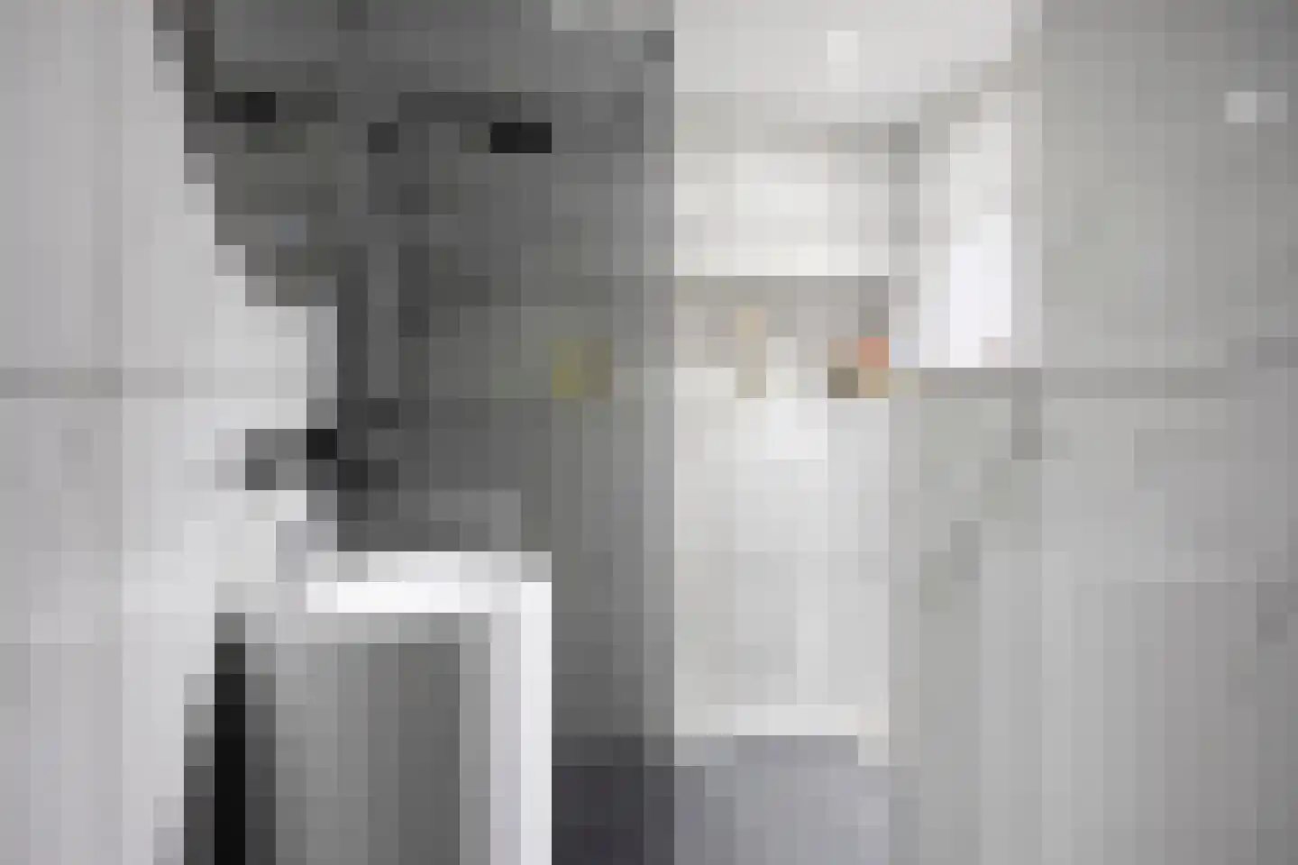 Leeuwerikstraat 38 Mill thumbnail 27
