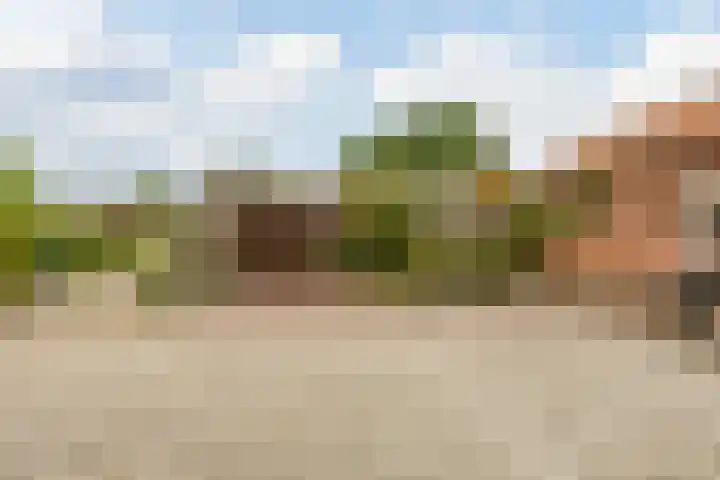 Leeuwerikstraat 38 Mill thumbnail 27