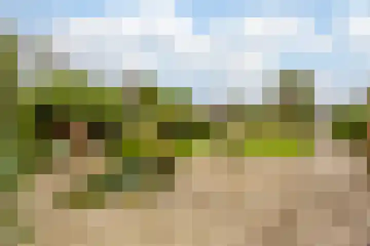 Leeuwerikstraat 38 Mill thumbnail 30