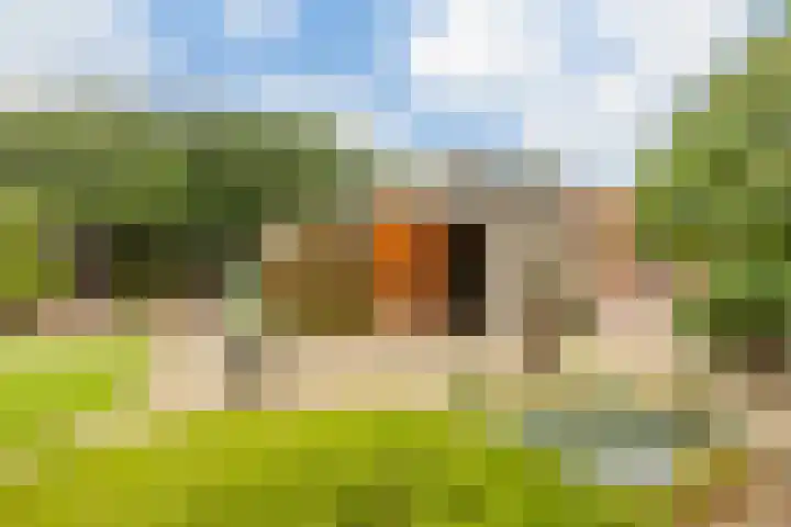 Leeuwerikstraat 38 Mill thumbnail 31